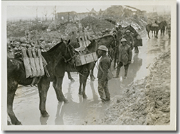 20th Battery, Canadian Field Artillery, taking ammunition to forward guns during the Battle of Vimy Ridge, April 1917.
George Metcalf Archival Collection
CWM 19920044-848
O.1243
© Canadian War Museum
