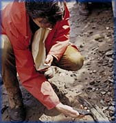 Archaeological investigations - 
Photograph: David Keenlyside