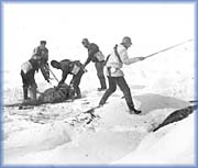 Ice Hunters - 
National Archives of Canada - PA 129900