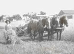 Harvest time, Qubec, c.1900., © CMC/MCC, Q 1.5.3 LS