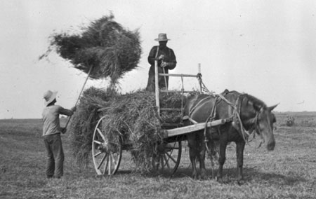 Two men loading hay on a hay wagon, Sainte-Genevive-de-Batiscan, Qubec, 1921., © CMC/MCC, Edouard Zotique Massicotte, 50616