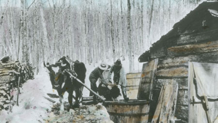 Emptying the sap into the barrel at Vincent Lessard's sugar camp, Beaupr, Qubec, 1919., © CMC/MCC, J.G. Morel, 79217 LS