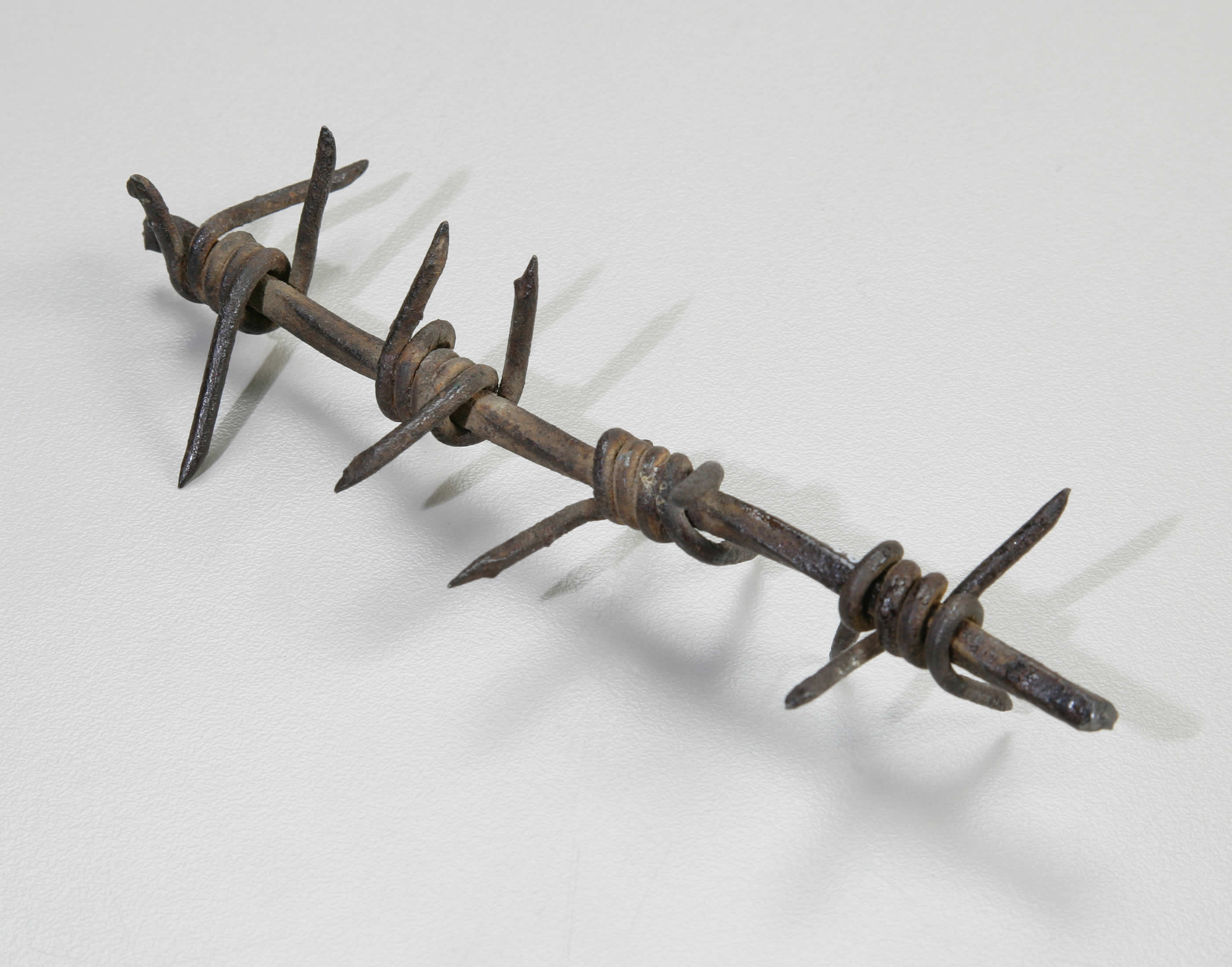 Barbed Wire from Vimy Ridge