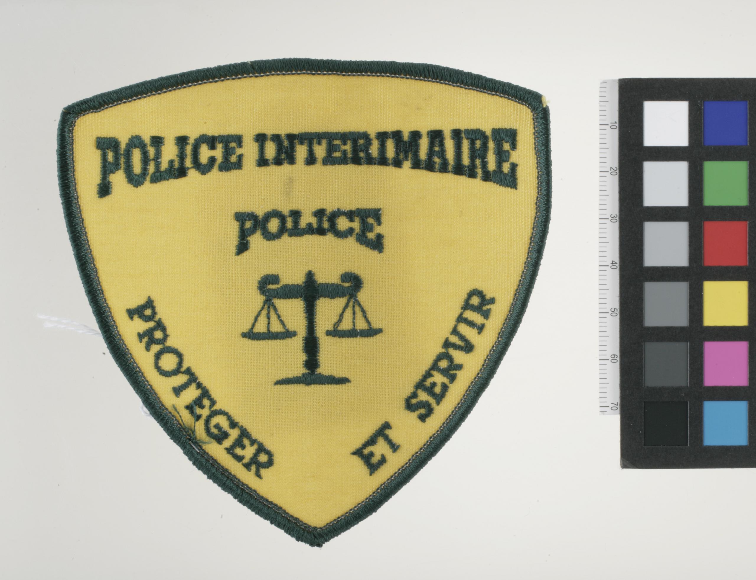 Detroit Police Patch