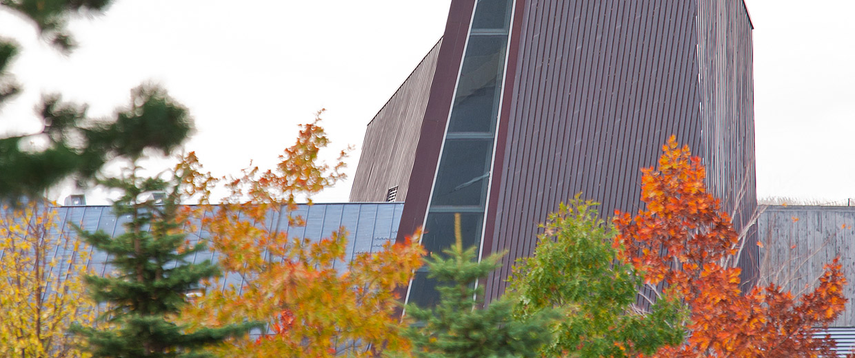 A clock tower in Ottawa with trees in the background, near the Canadian War Museum.