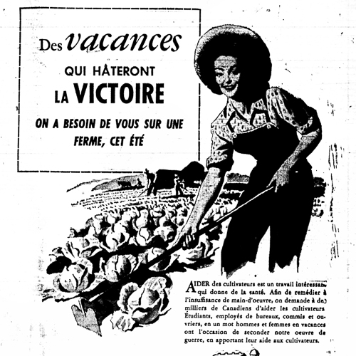 An old ad for a woman working in the fields