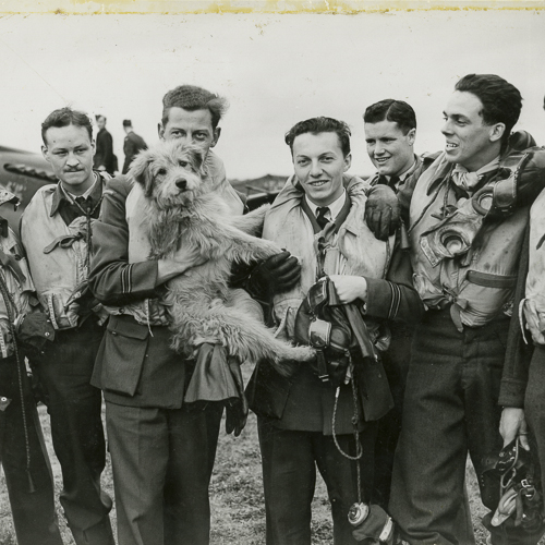 A group of men holding a dog at the Canadian War Museum.