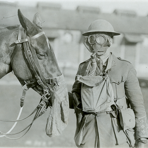 A soldier wearing a gas mask next to a horse.