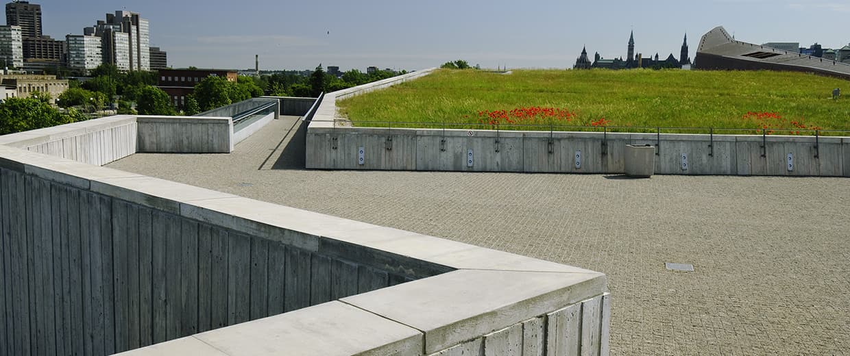 A green roof on top of the Canadian War Museum in Ottawa.