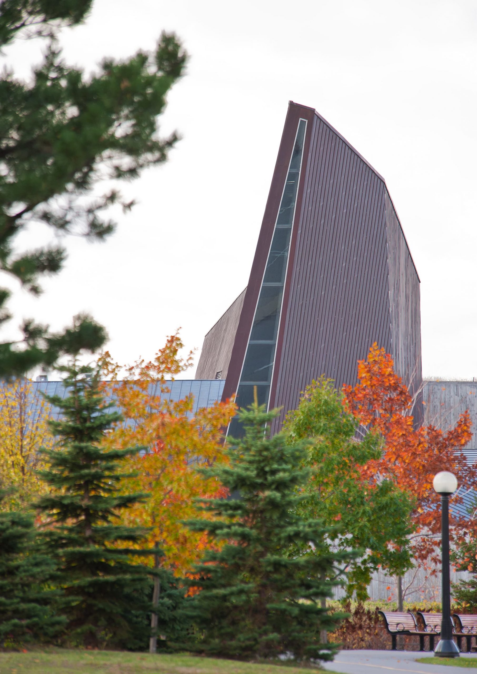 The Canadian War Museum, located in Ottawa, is a striking building surrounded by a serene field of trees.