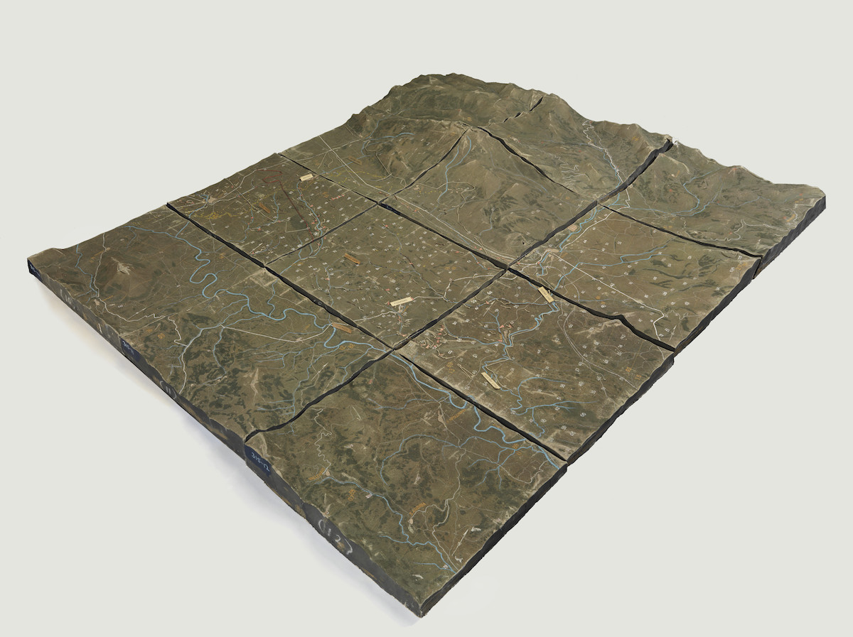 A 3D relief map.