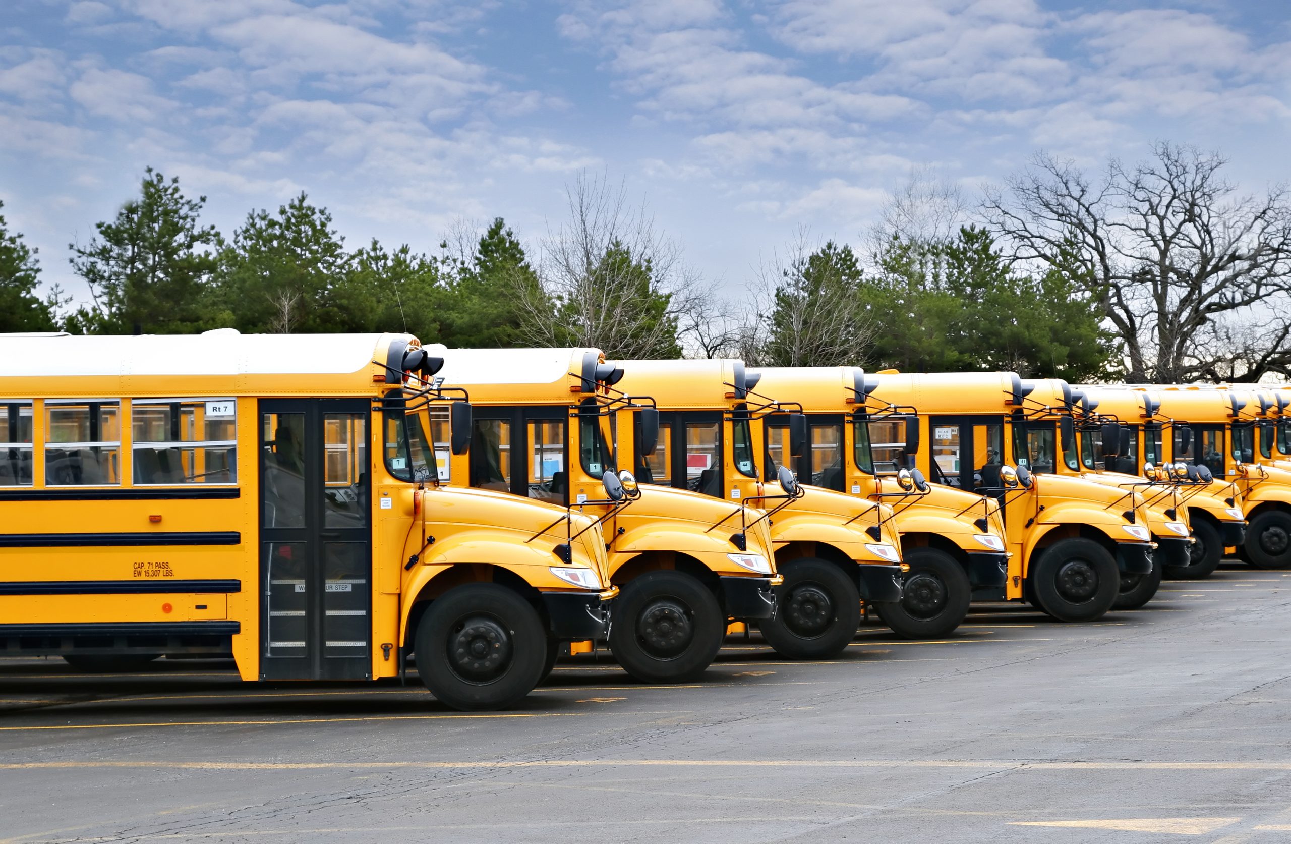 A row of yellow school buses in Ottawa.