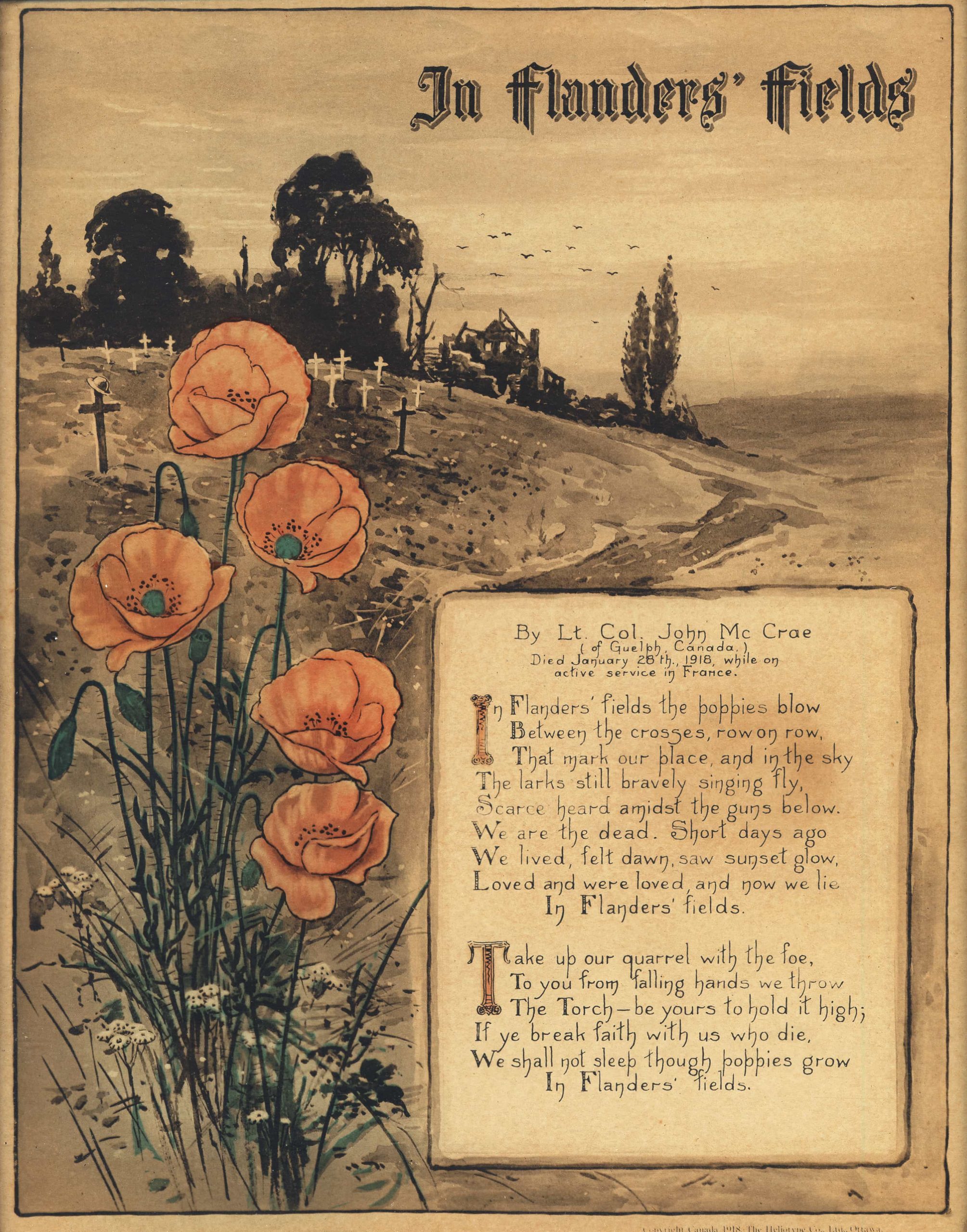 The In Flanders' Field poem with poppies as its backdrop.